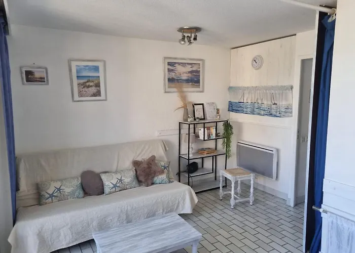 Lumineux Piscine Parking Agde